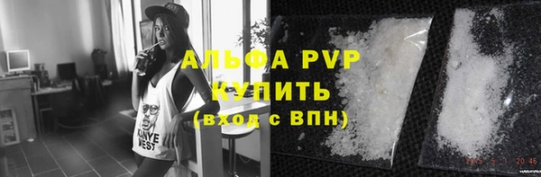 Альфа ПВП Белокуриха