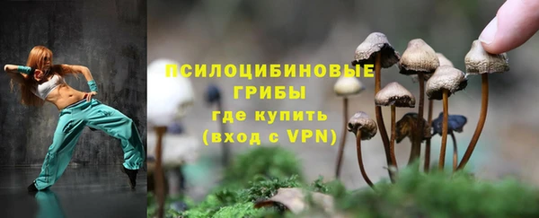 Альфа ПВП Белокуриха