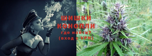 Альфа ПВП Белокуриха