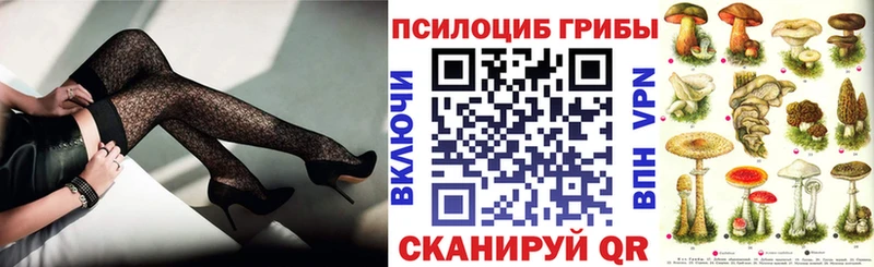 где можно купить   Болхов  kraken   Галлюциногенные грибы Psilocybine cubensis 